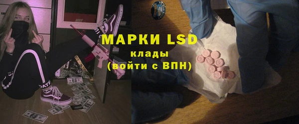 прущие грибы Верхнеуральск