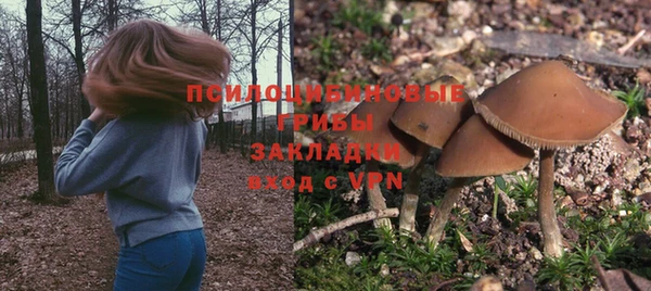прущие грибы Верхнеуральск