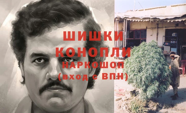 прущие грибы Верхнеуральск