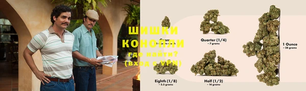 прущие грибы Верхнеуральск