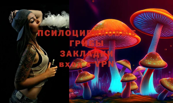 ГАЛЛЮЦИНОГЕННЫЕ ГРИБЫ Верхний Тагил