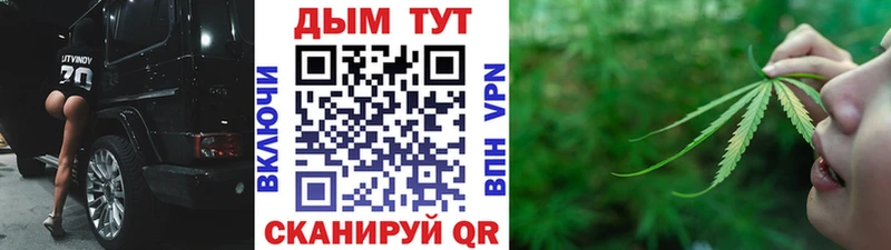 Конопля сатива  Чкаловск 